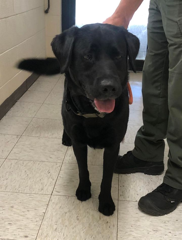 Found in the Turkey Neck Area | Sheriff's Office of Garrett County ...