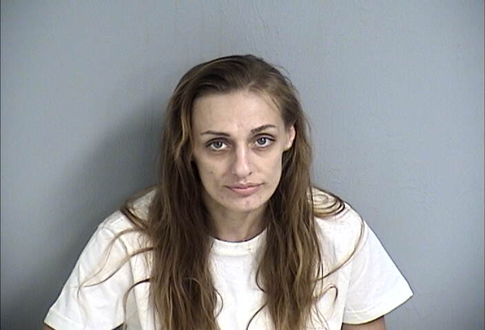 Mugshot of MELISSA WILSON