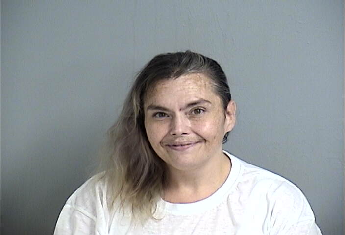 Mugshot of HOLLY ANDERSON