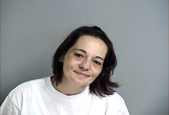 Mugshot of SHEENA SHIFLETT