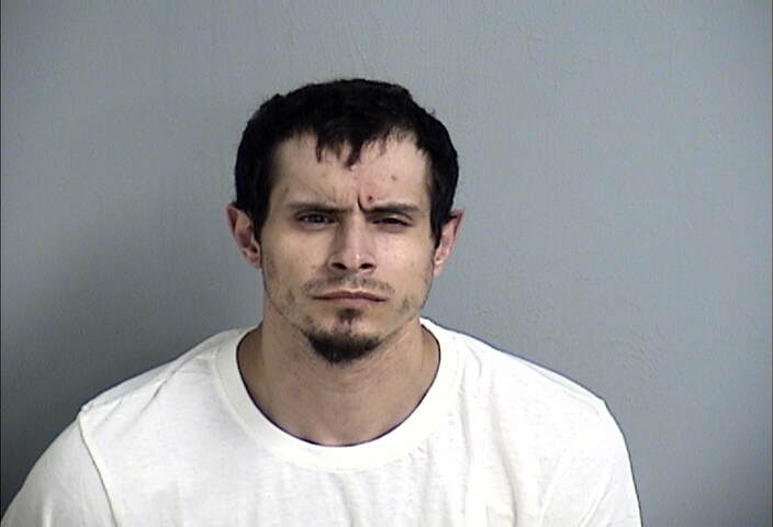 Mugshot of JERRY WELCH