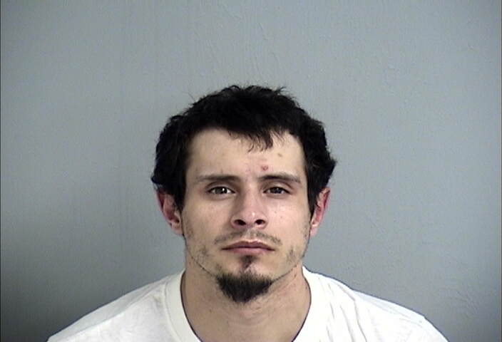 Mugshot of JERRY WELCH