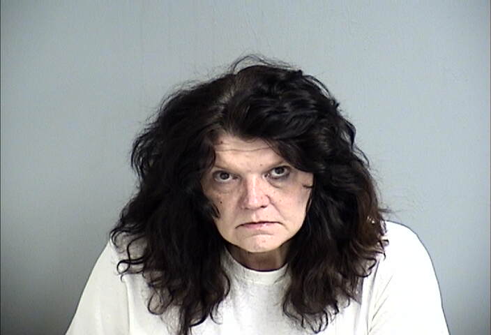 Mugshot of LISA KITZMILLER