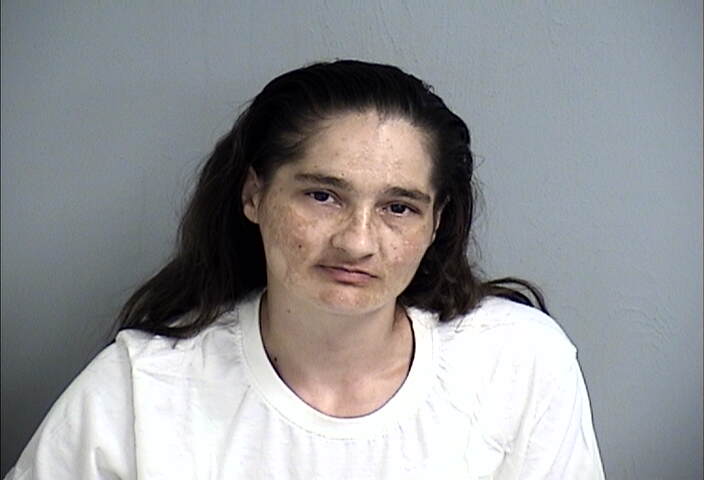 Mugshot of LAURA KINDLE