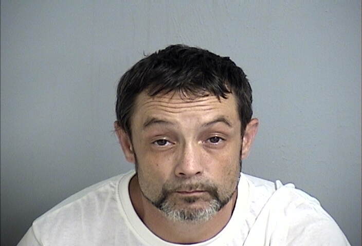 Mugshot of DANA STALLARD
