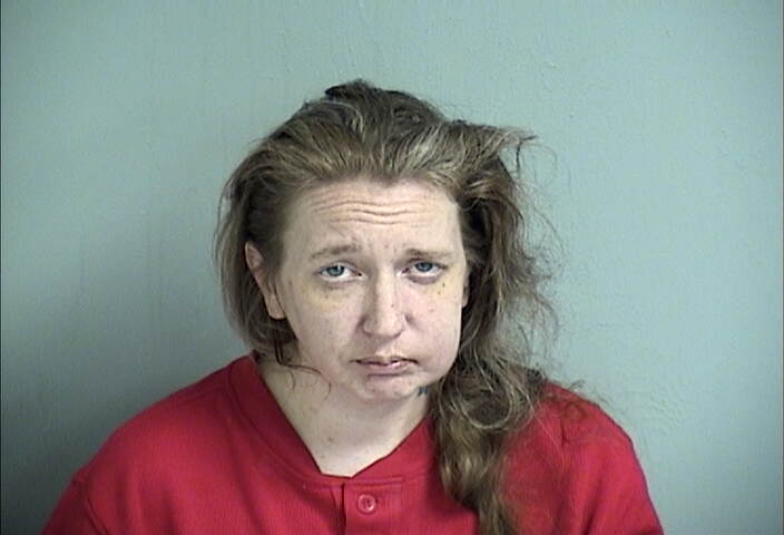 Mugshot of MANDY WARNICK