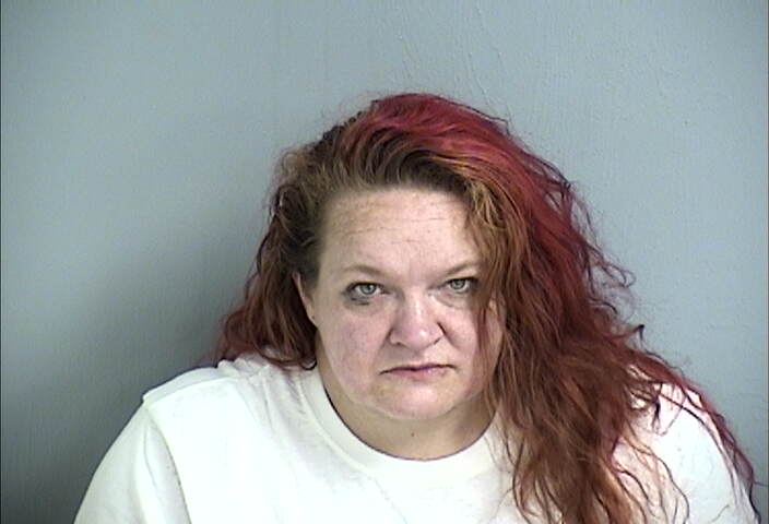 Mugshot of KRISTY MEADOWS