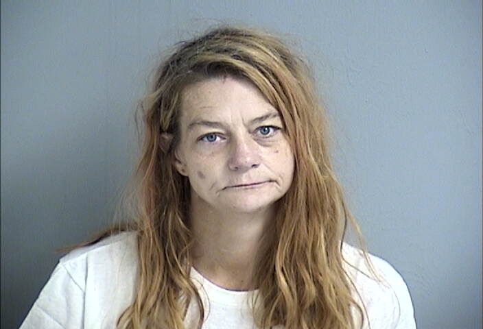 Mugshot of TONYA MCDANIEL
