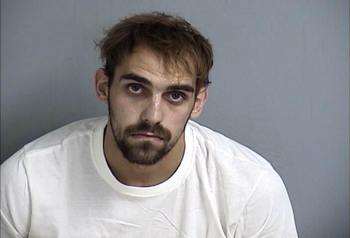 Mugshot of DEKOTA DEWITT
