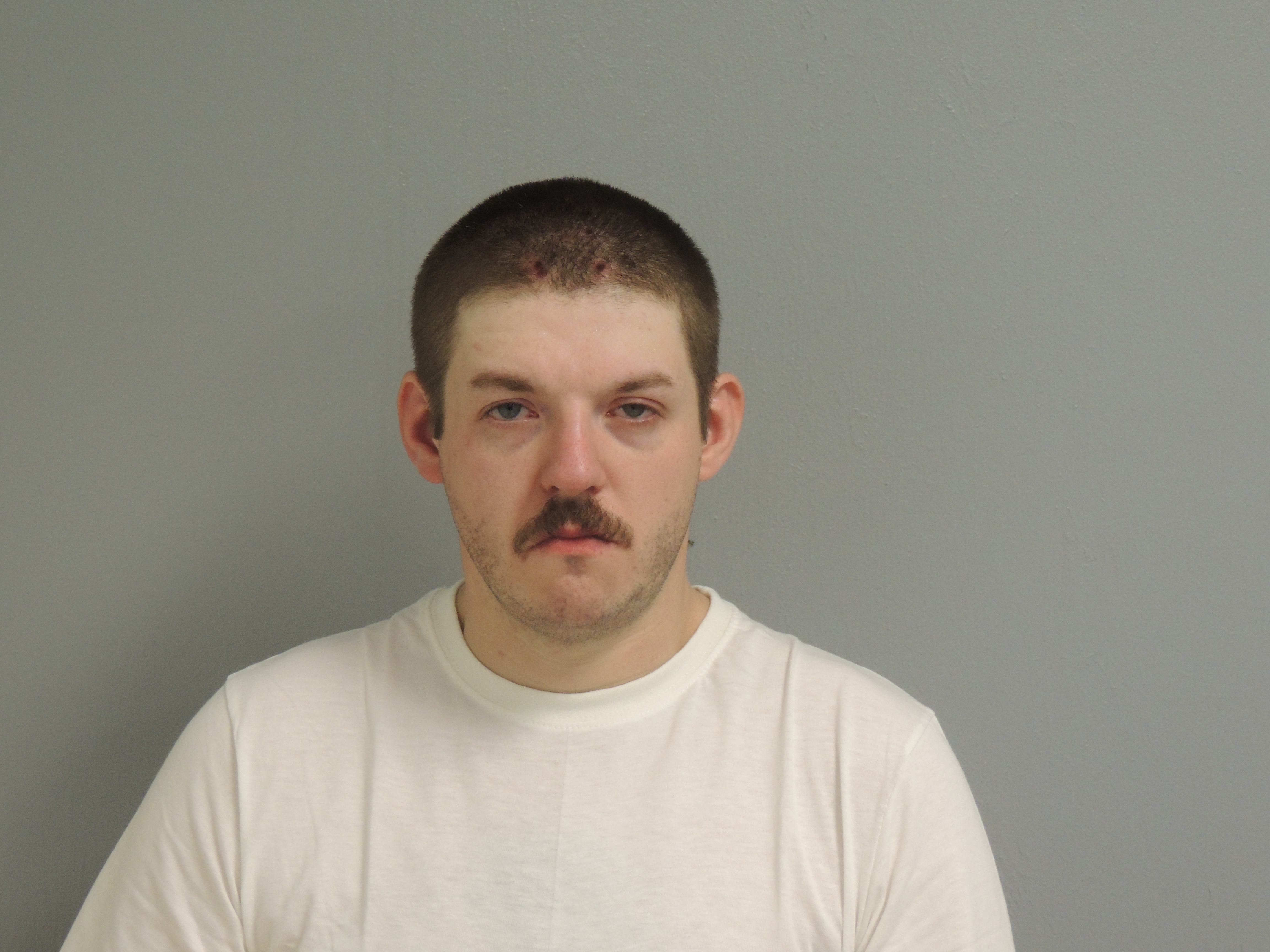Mugshot of MARK HARVEY