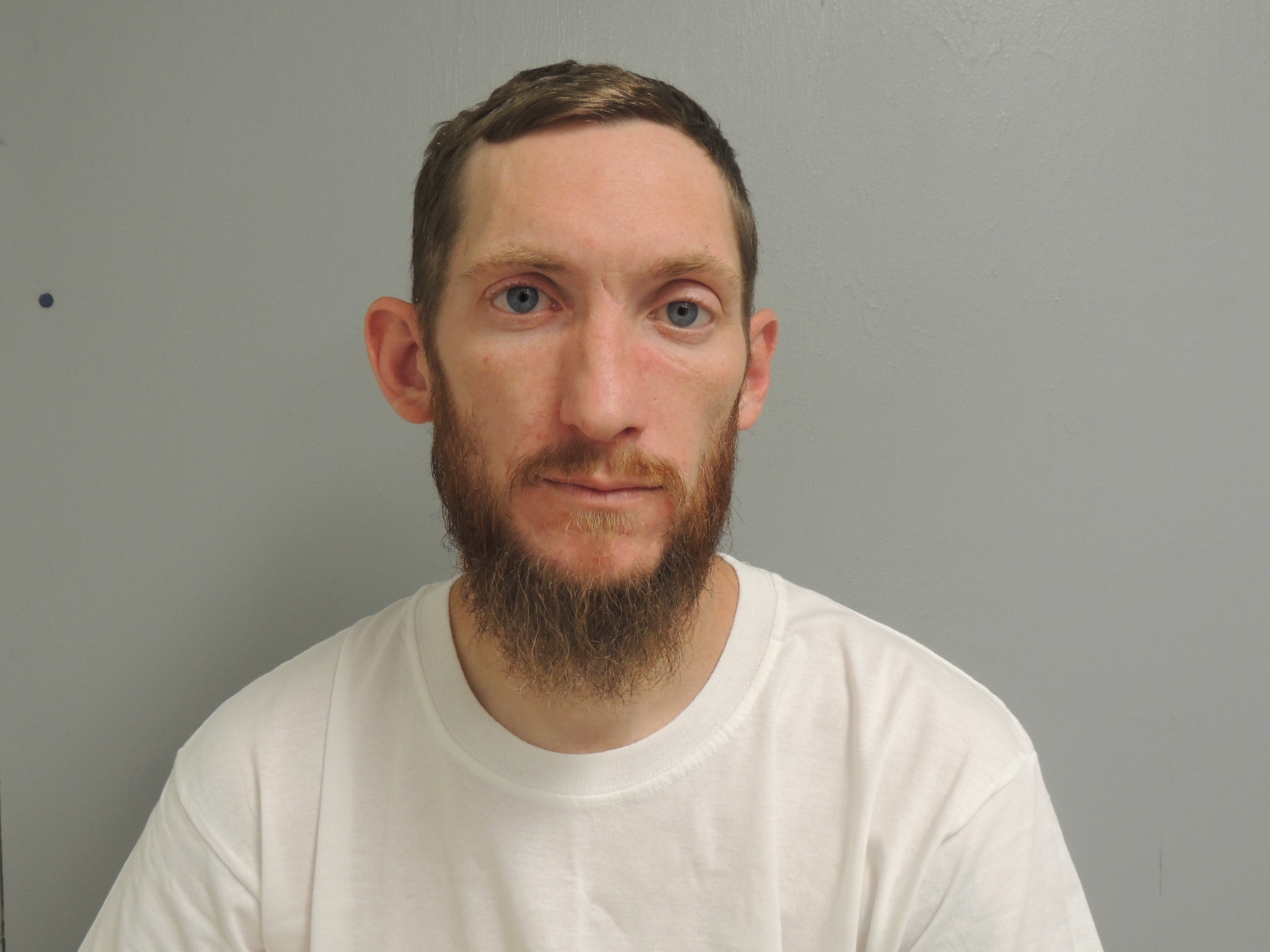 Mugshot of NEWTON STULL