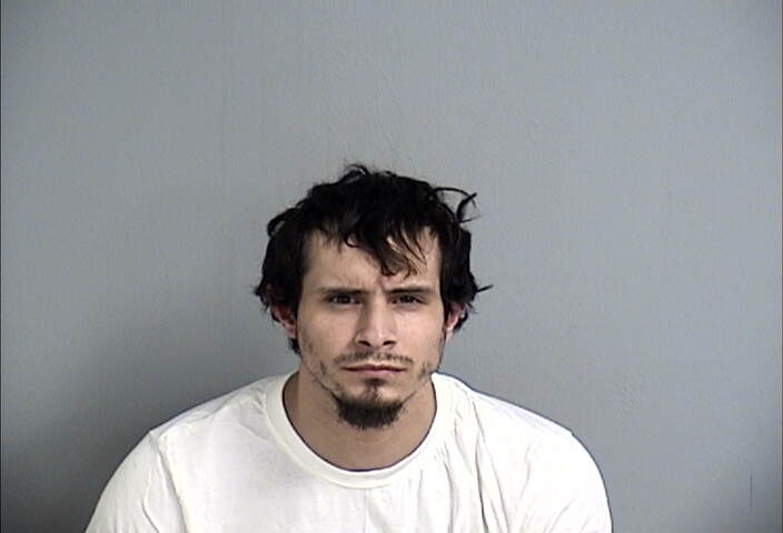 Mugshot of JERRY WELCH