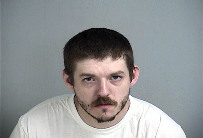 Mugshot of MARK HARVEY