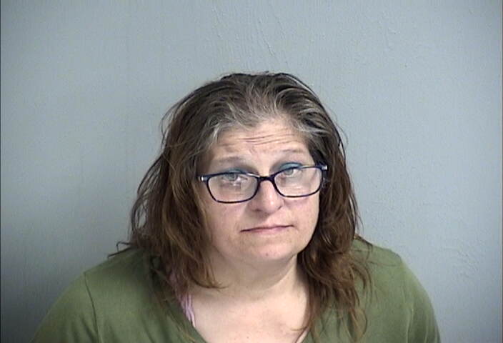 Mugshot of DIANA GOODWIN