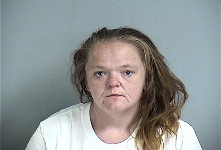 Mugshot of SHERYL MCGINNIS