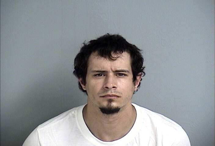 Mugshot of JERRY WELCH