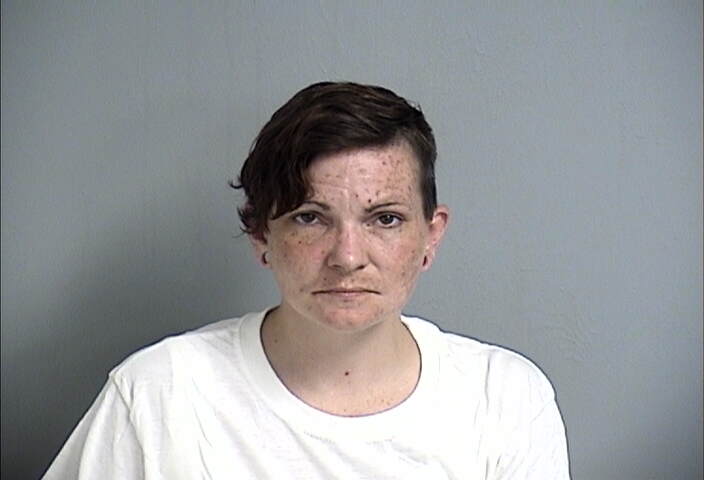 Mugshot of DANIELLE NEWCOMB