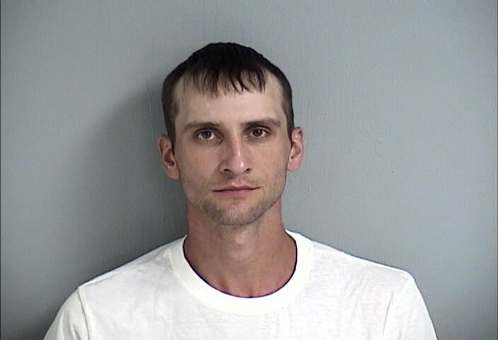 Mugshot of ROBERT DAVIS