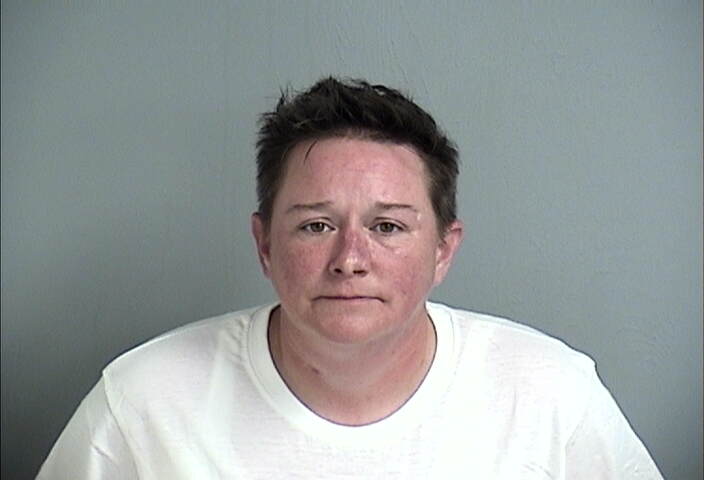 Mugshot of SARA STEELE