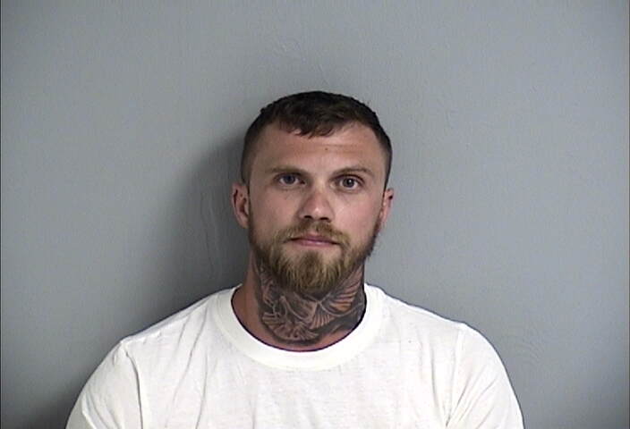 Mugshot of DAVID ANDERSON
