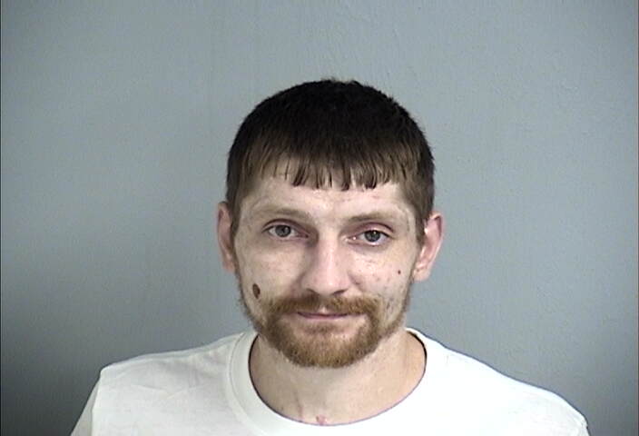 Mugshot of DAVID  BROWN 