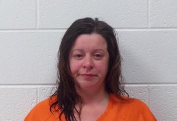 Heidi Lane Hamilton 